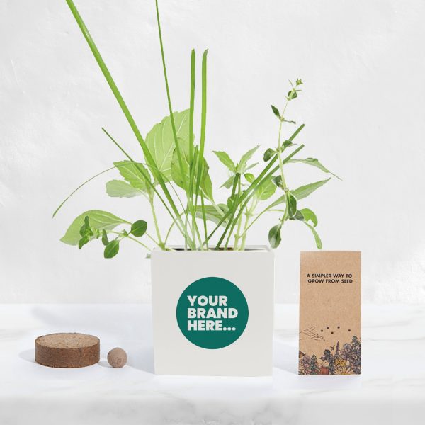 Small Aluminium Grow Kit - Printed - Image 2