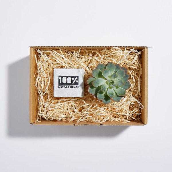 Custom Hampers - Image 5