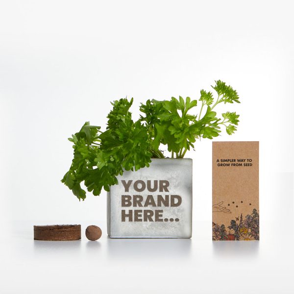 Marble Concrete Grow Kit - Engraved - Image 2