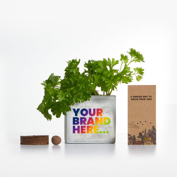 Marble Concrete Grow Kit - Printed - Image 2