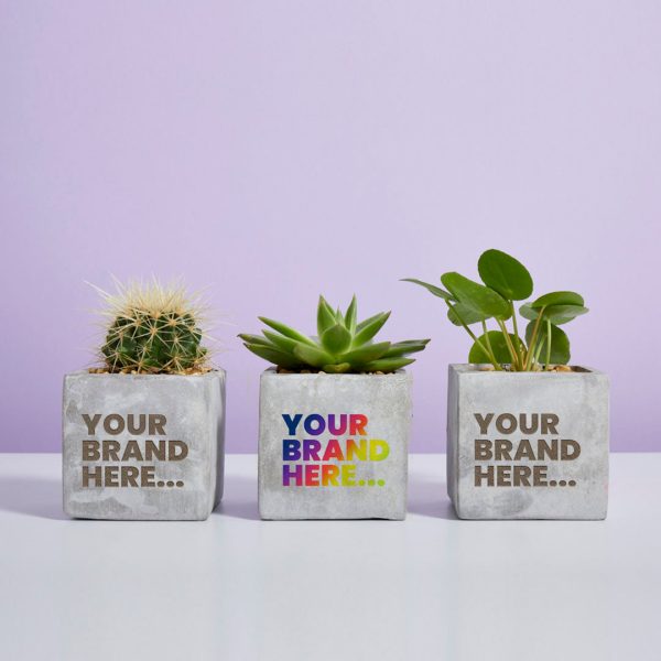 Medium Marble Concrete Planted Pot - Printed - Image 5