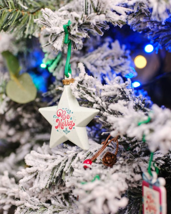 Christmas dECOration Plus Star - Image 2