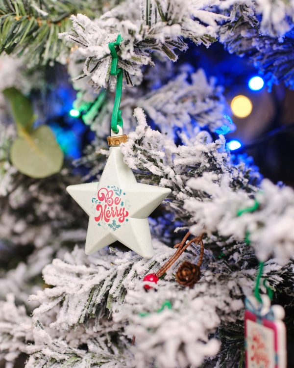 Christmas dECOration Plus Star - Image 22