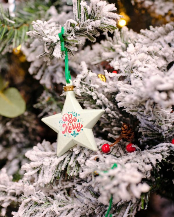Christmas dECOration Plus Star