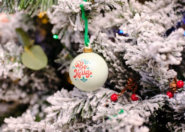 Christmas dECOration Plus Bauble - Image 18