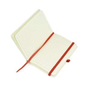 A6 White Mole Notebook