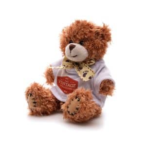 Shaggy 12cm Teddy Bear