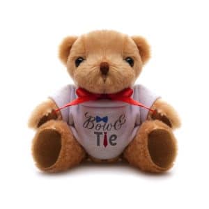 Fuzzy 20cm Teddy Bear
